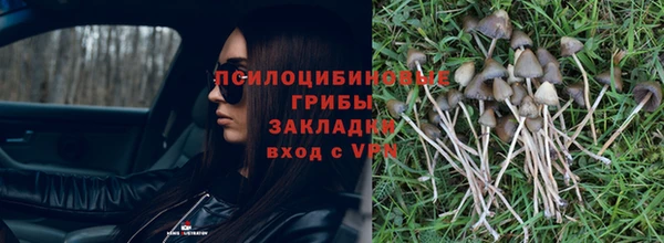 крисы Абдулино